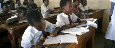 Chyby v záznamech o adopcích