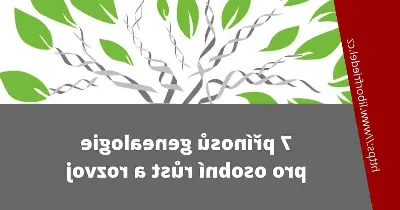 Odkaz DNA v genealogii: Jak ji správně použít