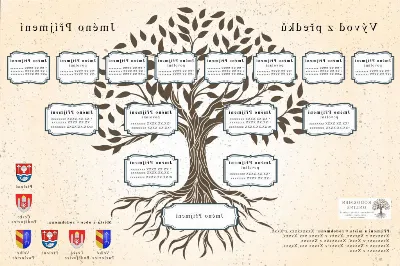 Desatero pro zahájení svého rodokmenu